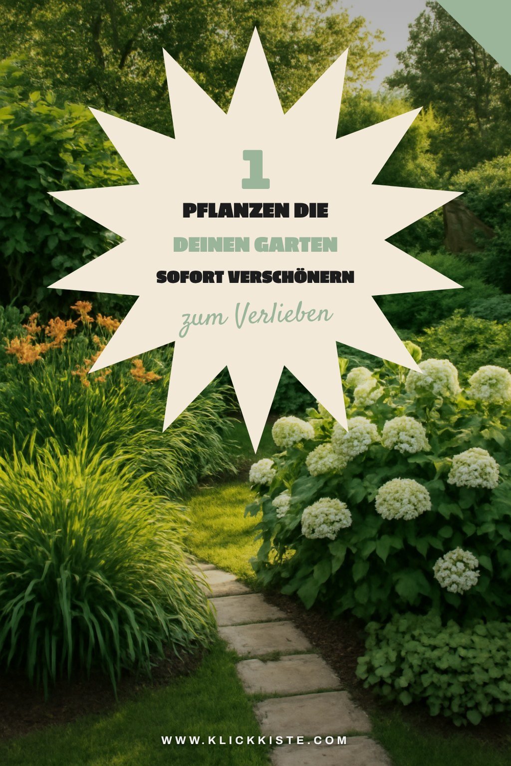 Diese 5 Pflanzen machen deinen Garten zum Paradies