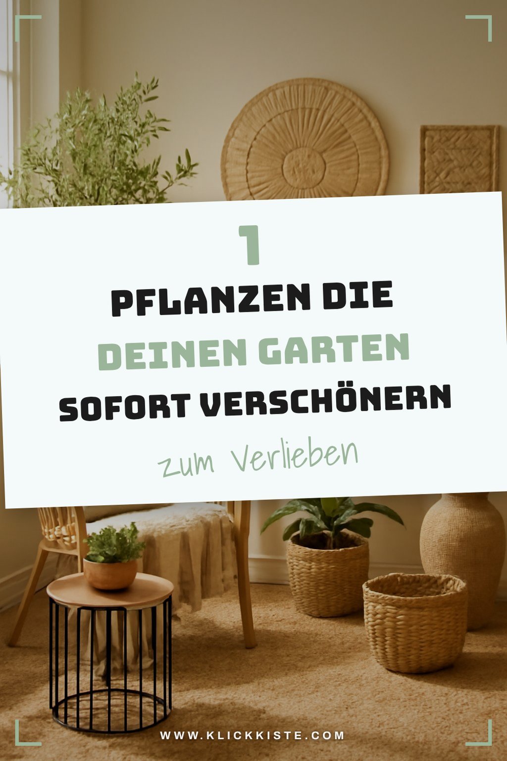 Mehr Empfehlungen aus dieser Kategorie
