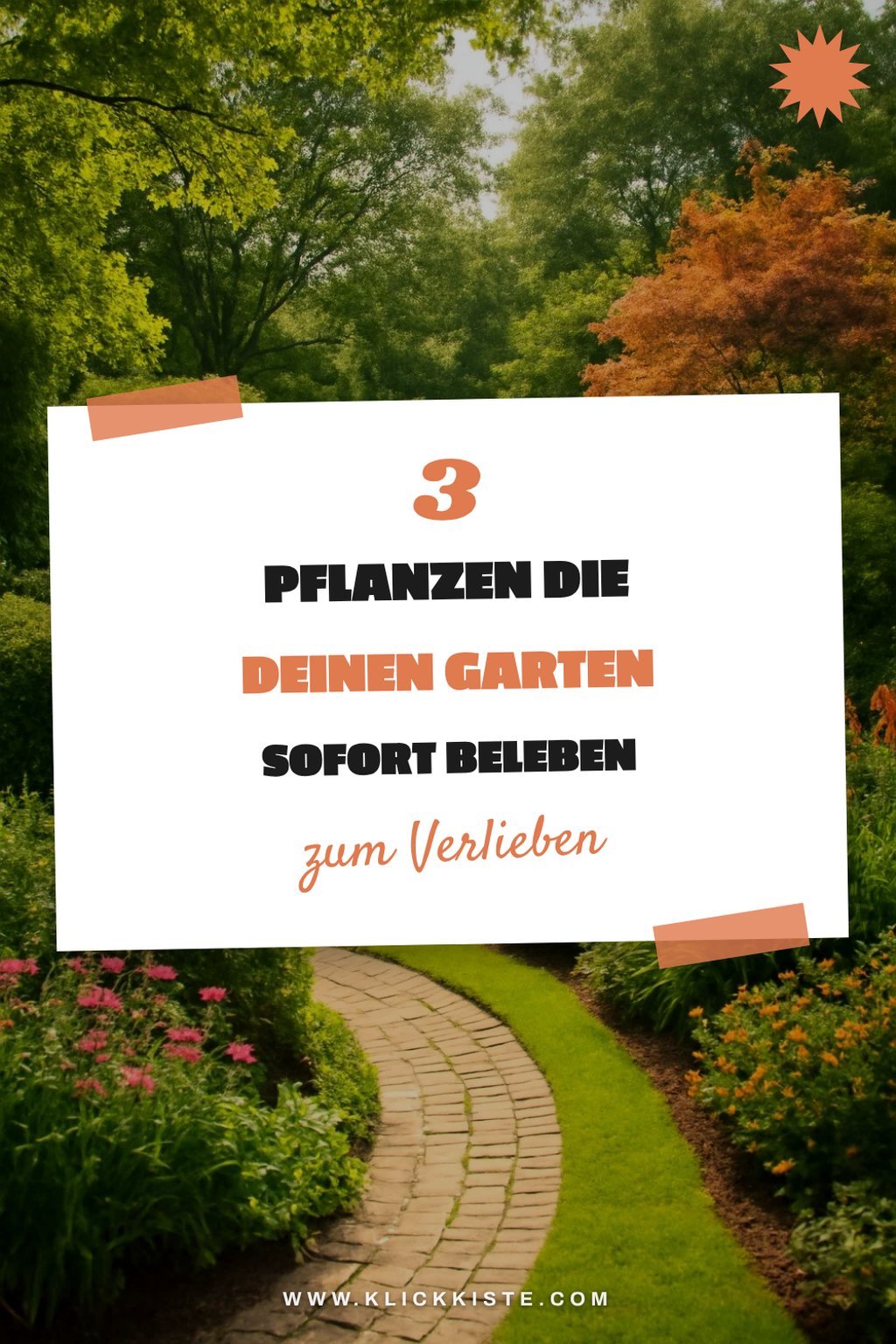 Diese Pflanzen machen deinen Garten lebendig