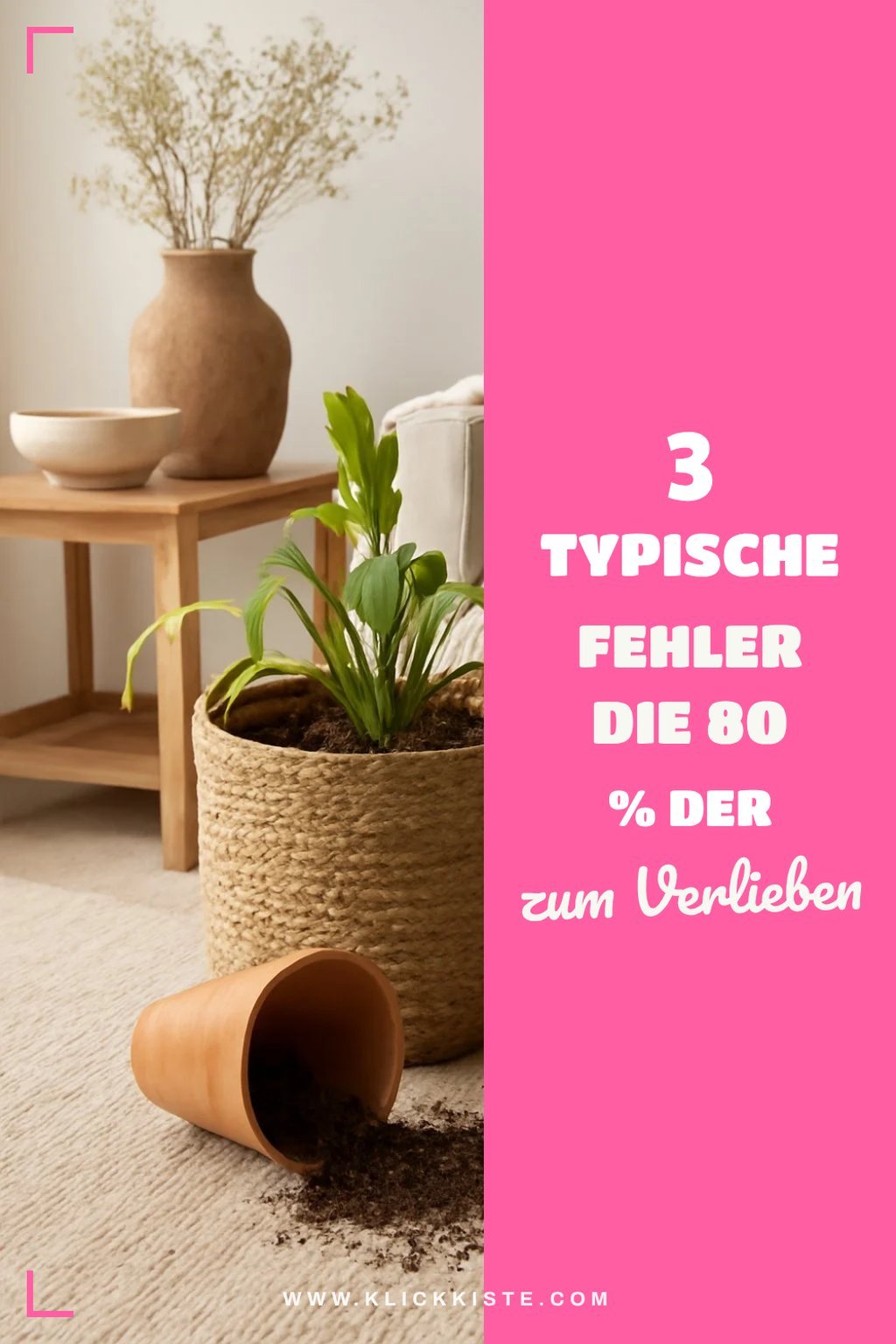 3 typische Fehler die 80 % der Hobbygärtner machen — Vorher-Nachher