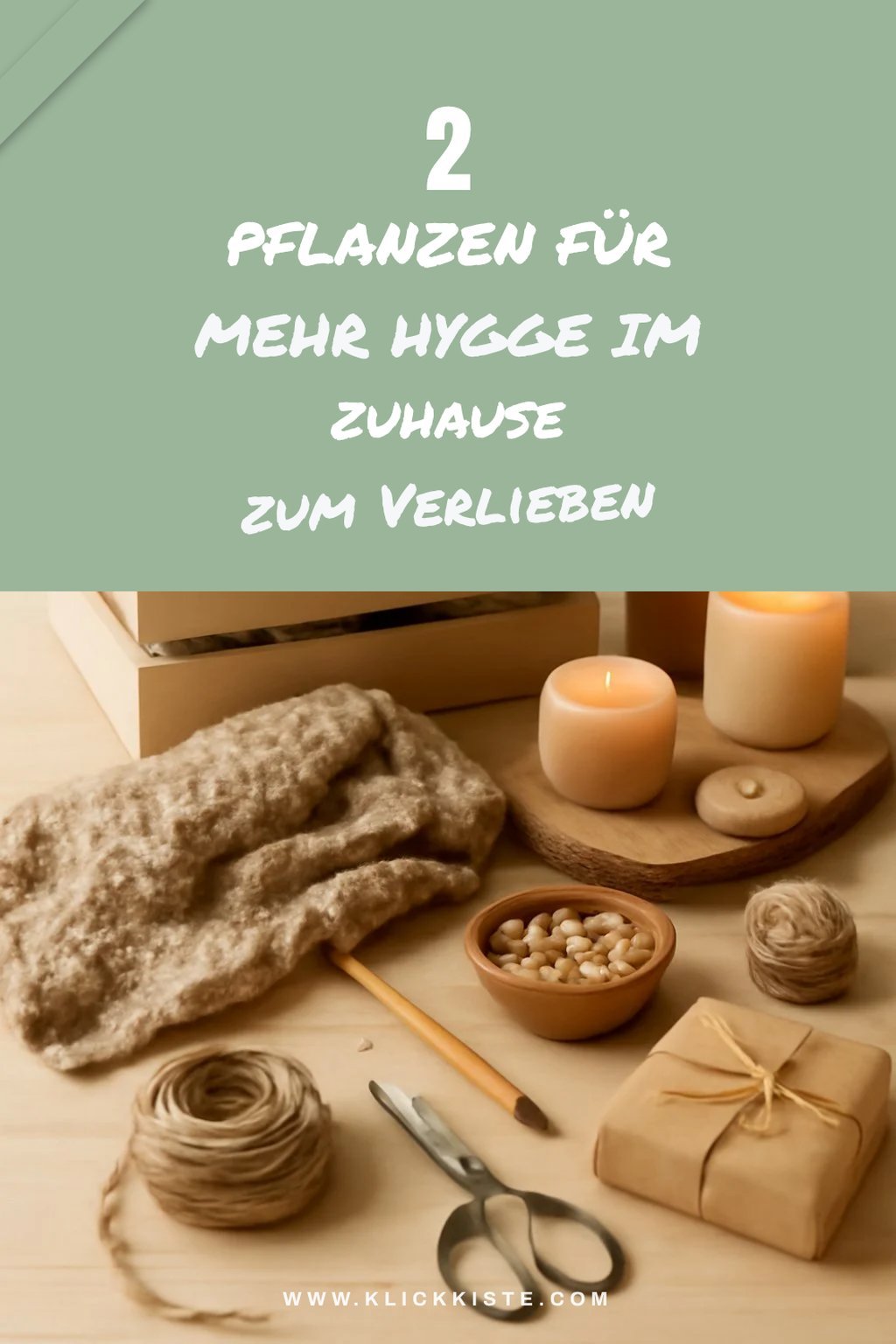 Diese Pflanzen bringen Hygge ins Zuhause