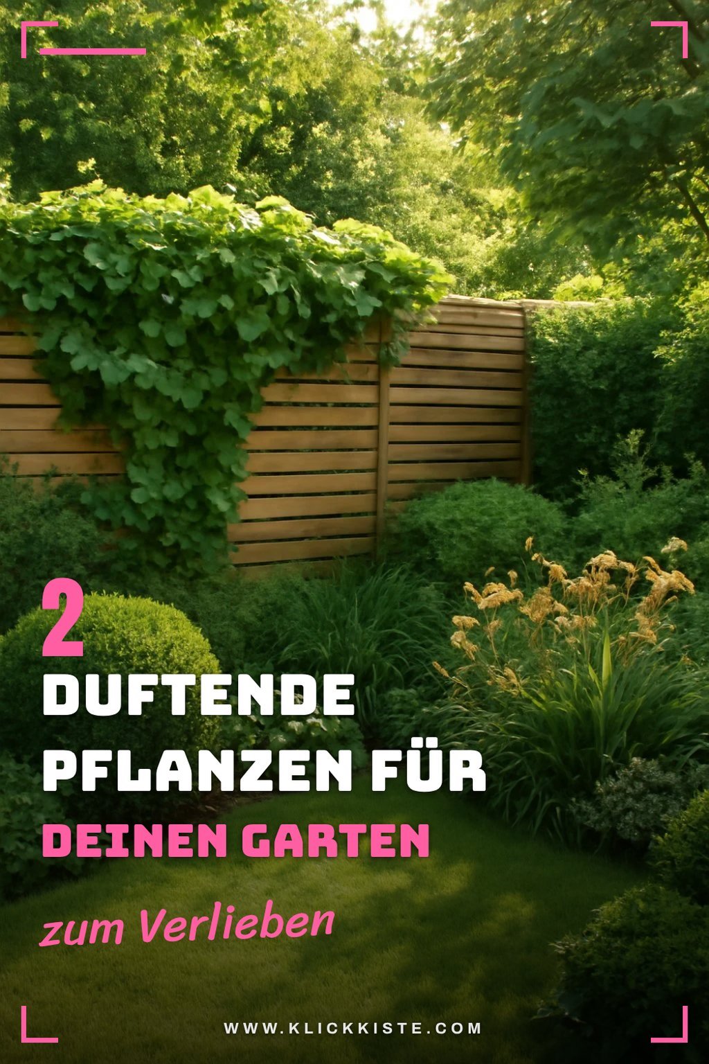 Diese Pflanzen sorgen für einen duftenden Garten