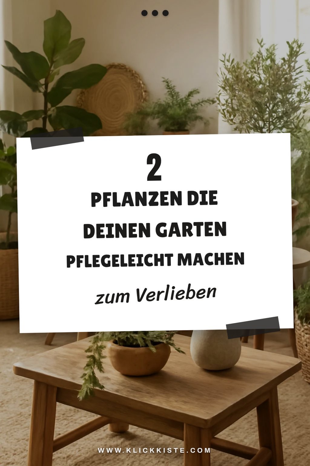 Diese Pflanzen machen deinen Garten pflegeleicht