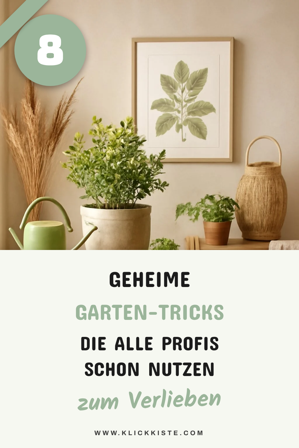 8 geheime Garten-Tricks die alle Profis schon nutzen — Garten-Tricks Profis