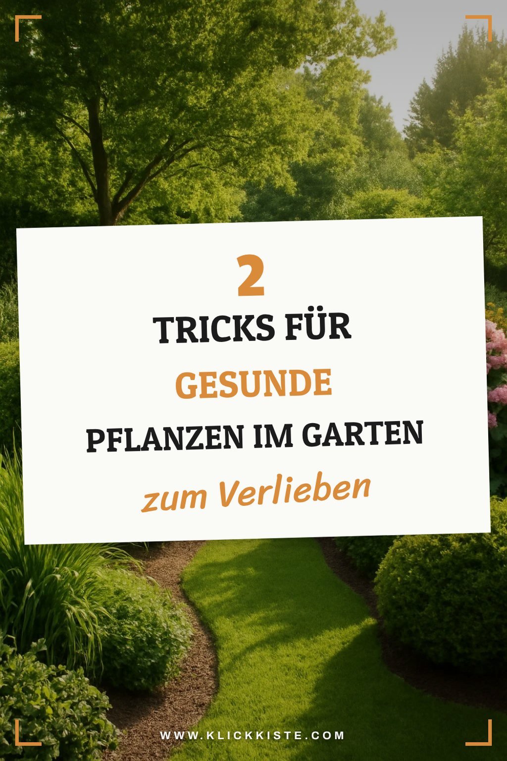 Diese 4 Tricks für gesunde Pflanzen im Garten