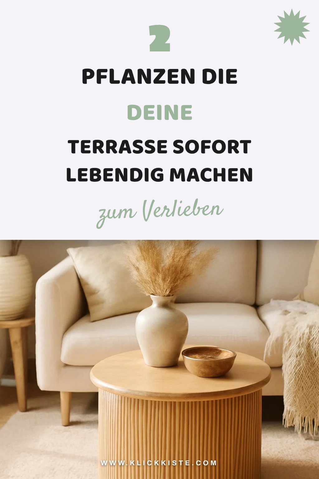 Diese Pflanzen machen deine Terrasse zum Boho-Traum