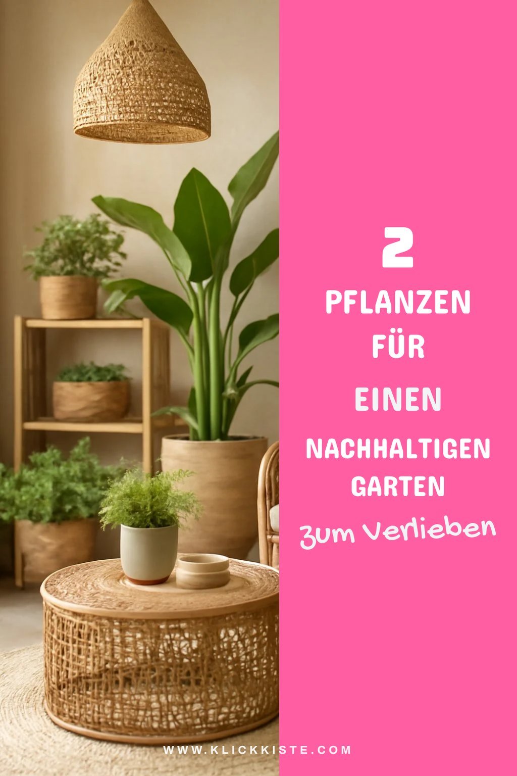 Diese Pflanzen machen deinen Garten nachhaltig und schön