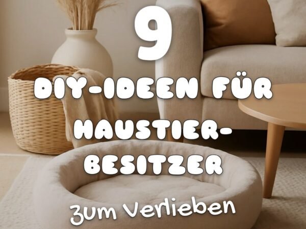 9 DIY-Ideen für Haustier-Besitzer — Spielzeug, Bett + Snacks