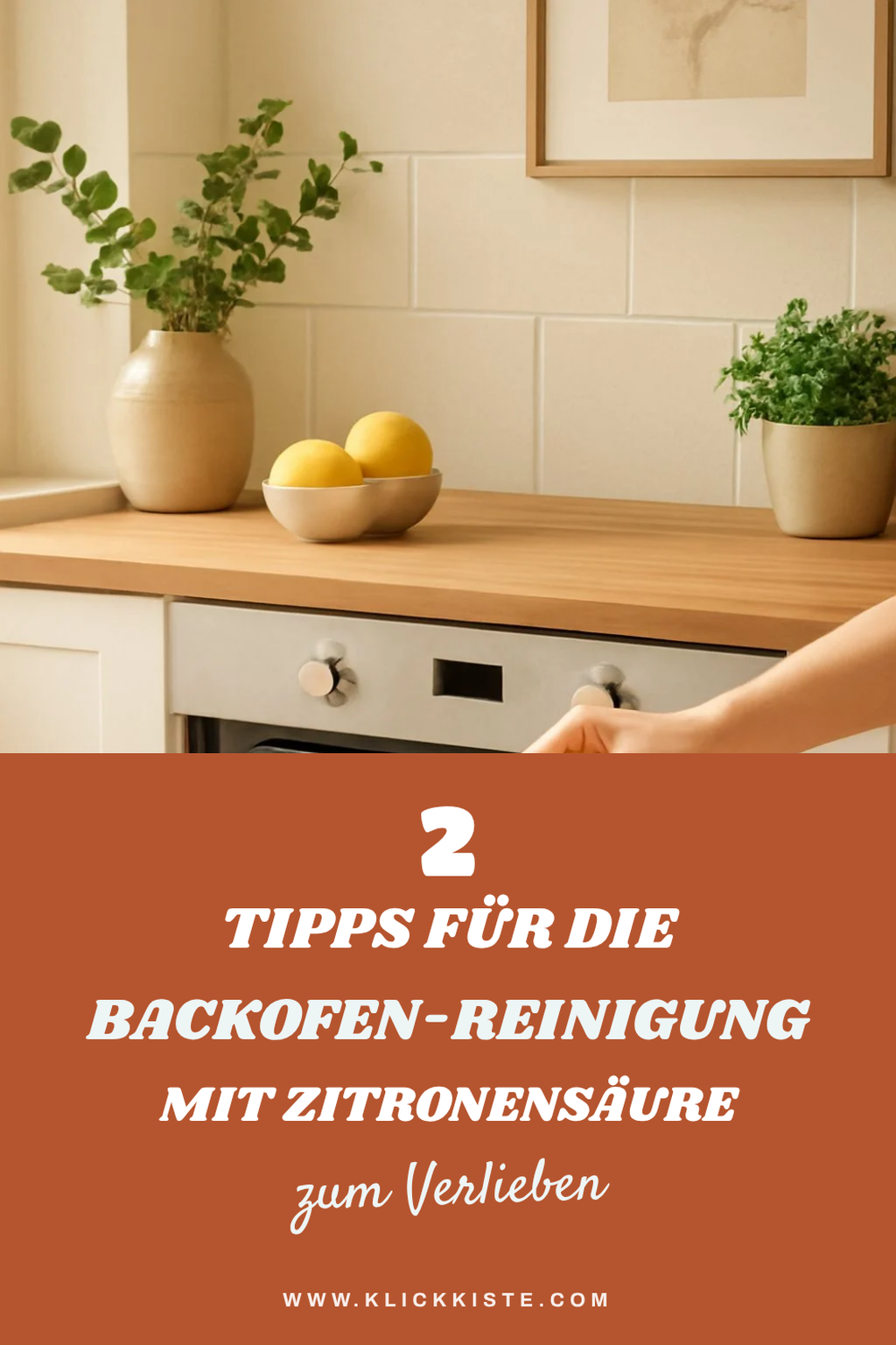 So reinigst du deinen Backofen mit Zitronensäure