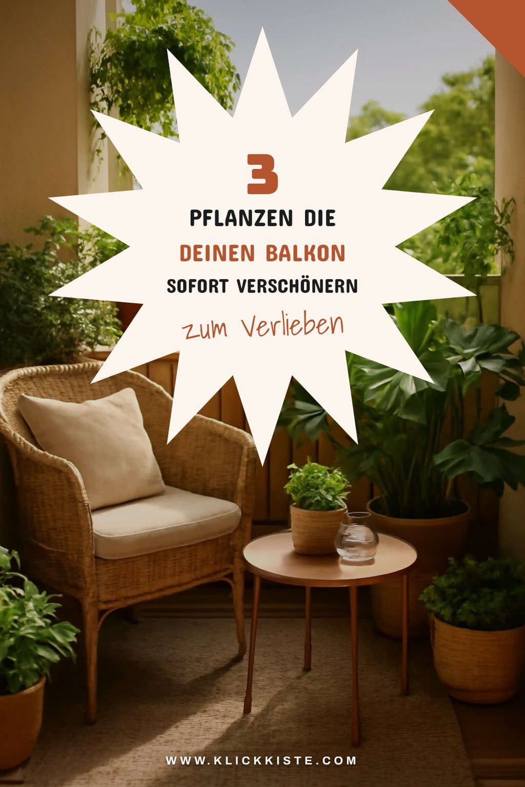 Wie du Pflanzen geschickt in Szene setzt