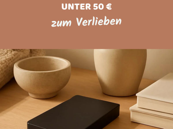 Beste externe Festplatten unter 50 € 2026: Top 4 im Praxistest