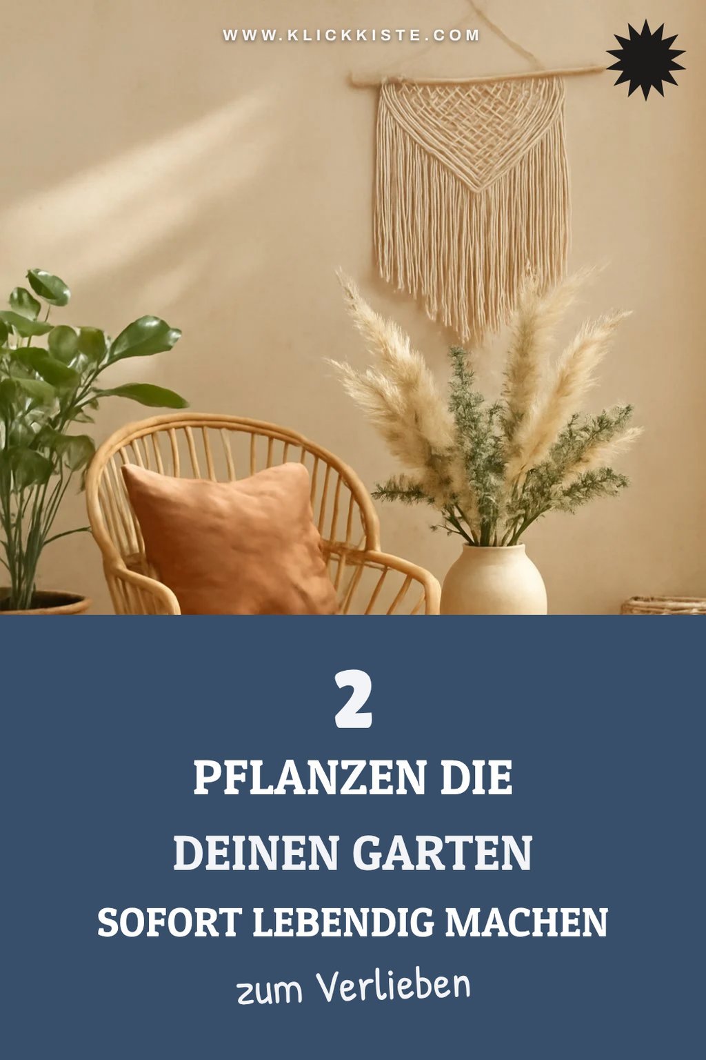 Diese Pflanzen bringen Farbe in deinen Garten