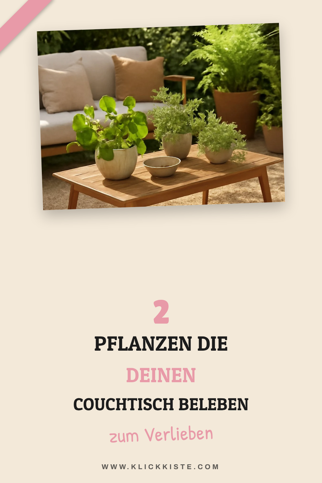 So bringst du deinen Couchtisch mit Pflanzen zum Strahlen