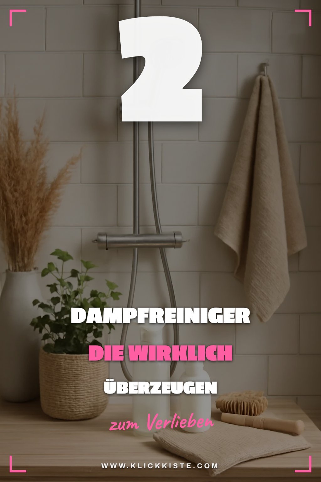 Dampfreiniger für die Dusche auswählen