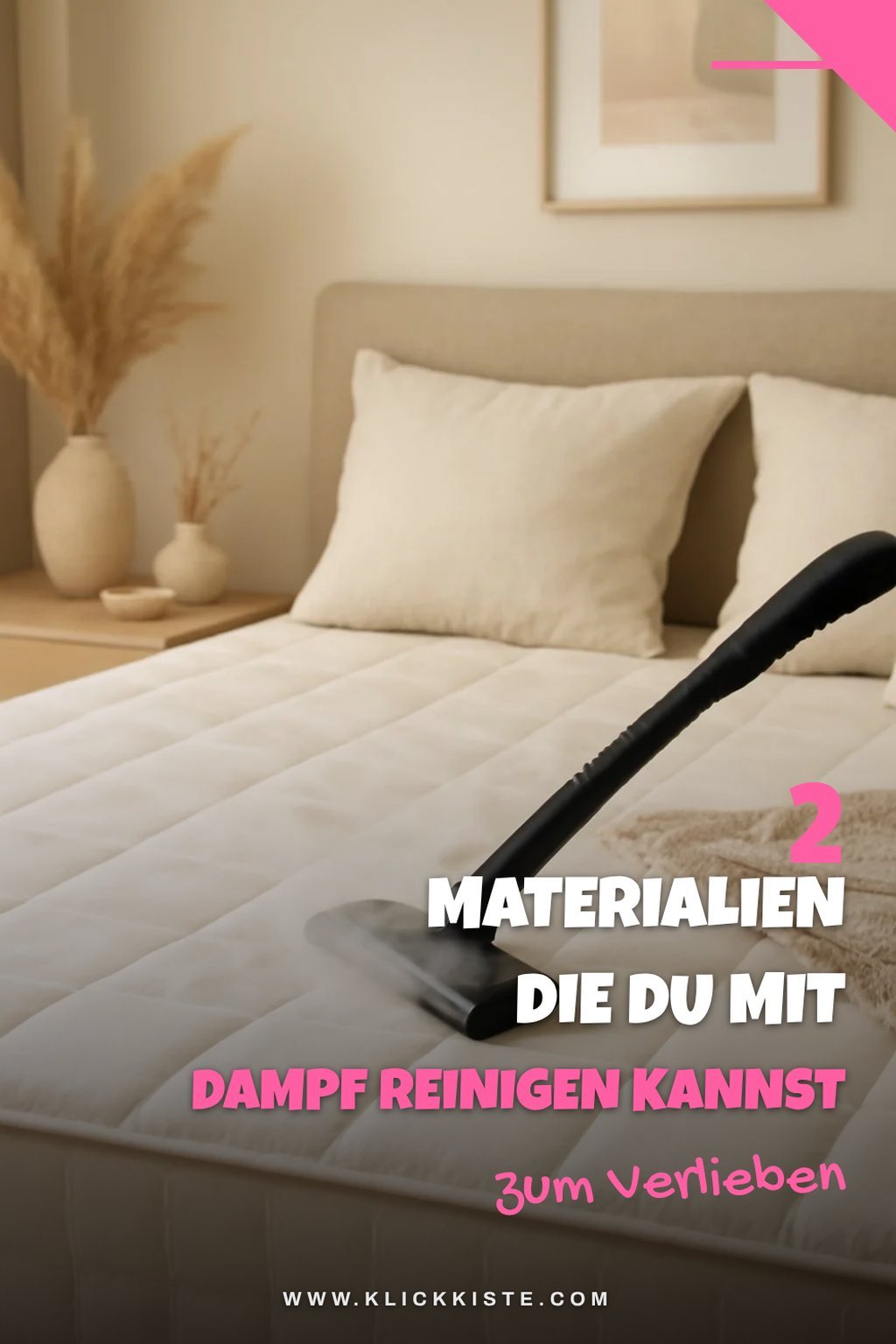 Dampfreiniger für verschiedene Materialien