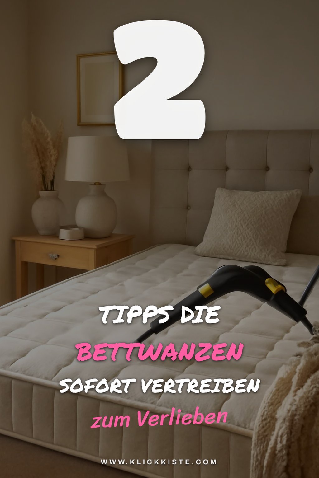 So befreist du deine Matratze von Bettwanzen