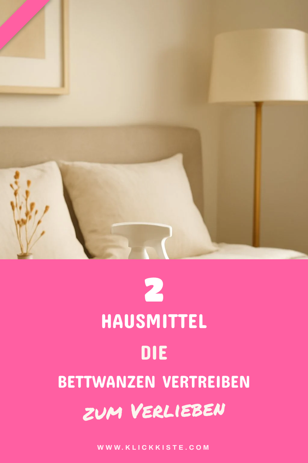 Hausmittel gegen Bettwanzen