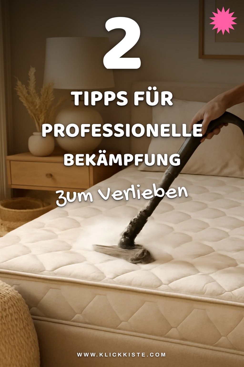 Bettwanzen professionell bekämpfen