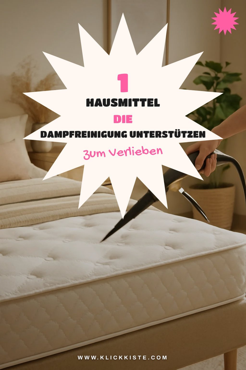 Diese Hausmittel unterstützen die Dampfreinigung