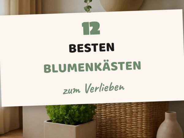Die 12 besten Blumenkästen – Vergleich 2026