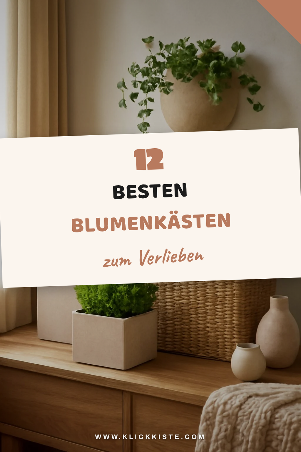 Die 12 besten Blumenkästen – Vergleich 2026