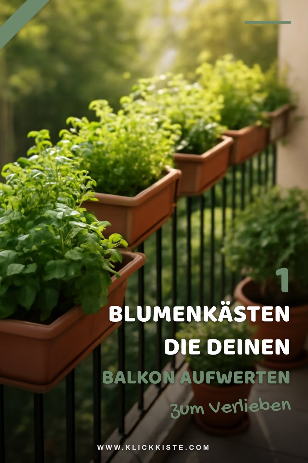 So findest du den perfekten Blumenkasten für deinen Balkon