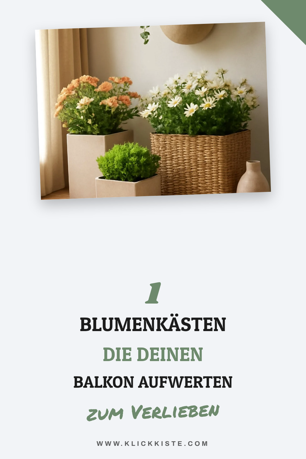 Mehr Empfehlungen aus dieser Kategorie