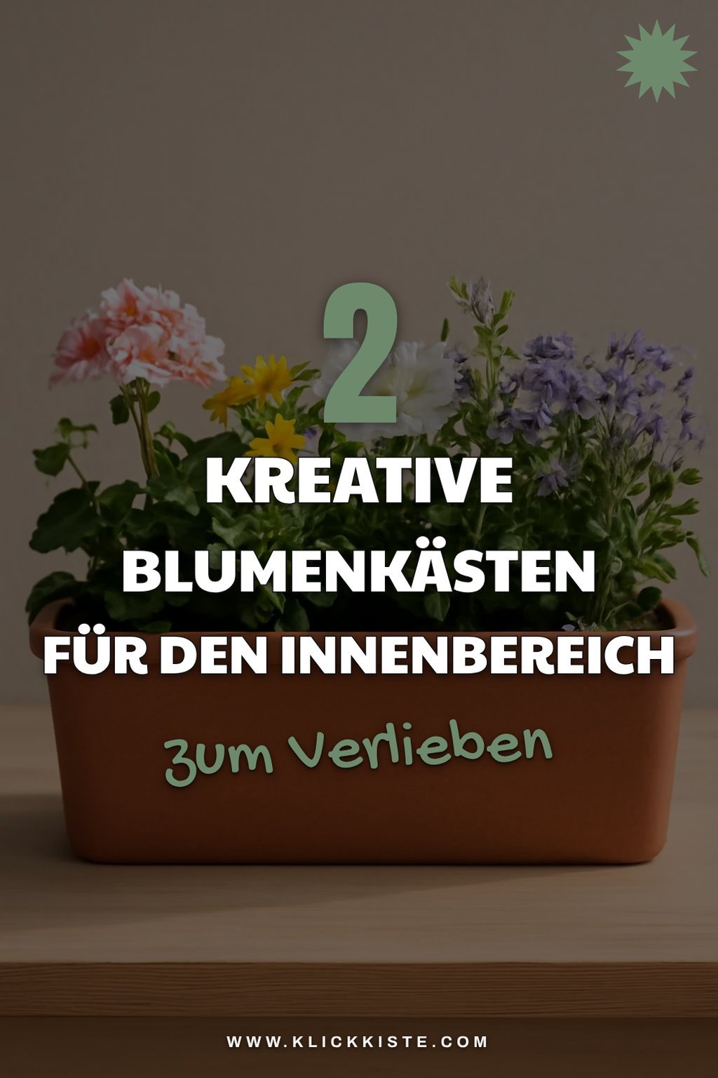 Blumenkästen für den Innenbereich gestalten