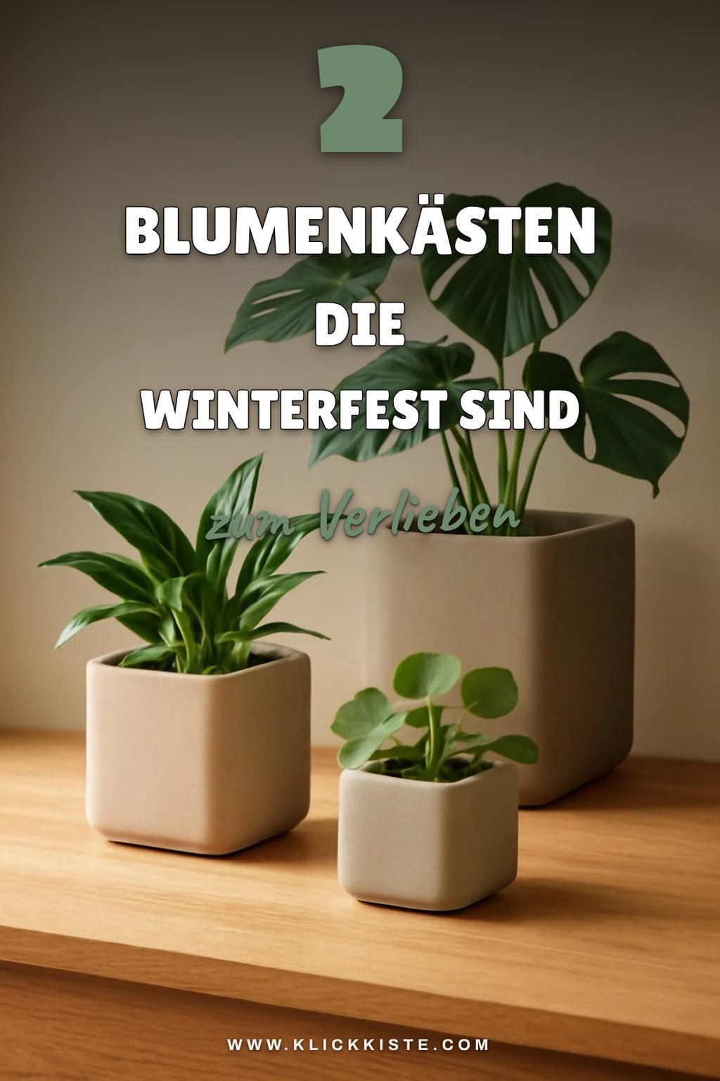 Die besten Blumenkästen für den Winter