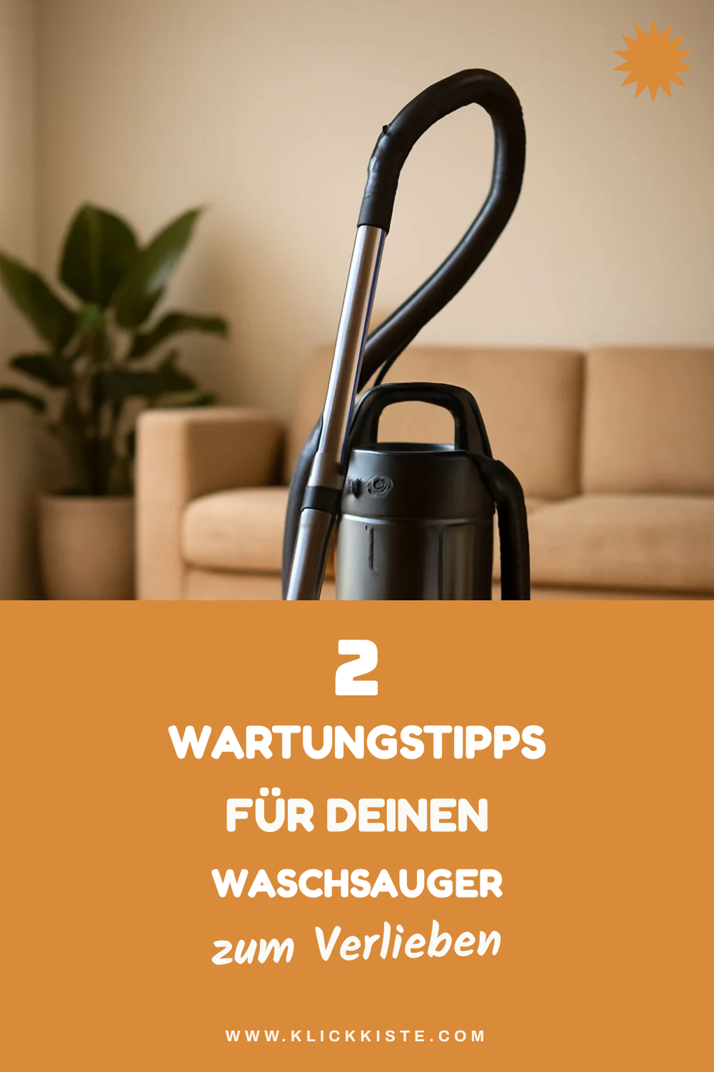 Pflege und Wartung von Waschsaugern