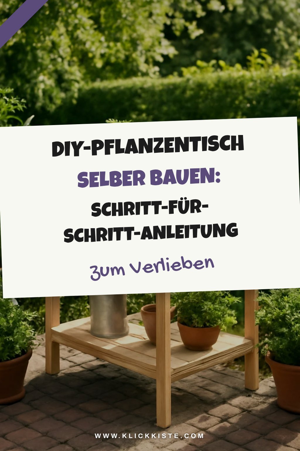 Schritt 5