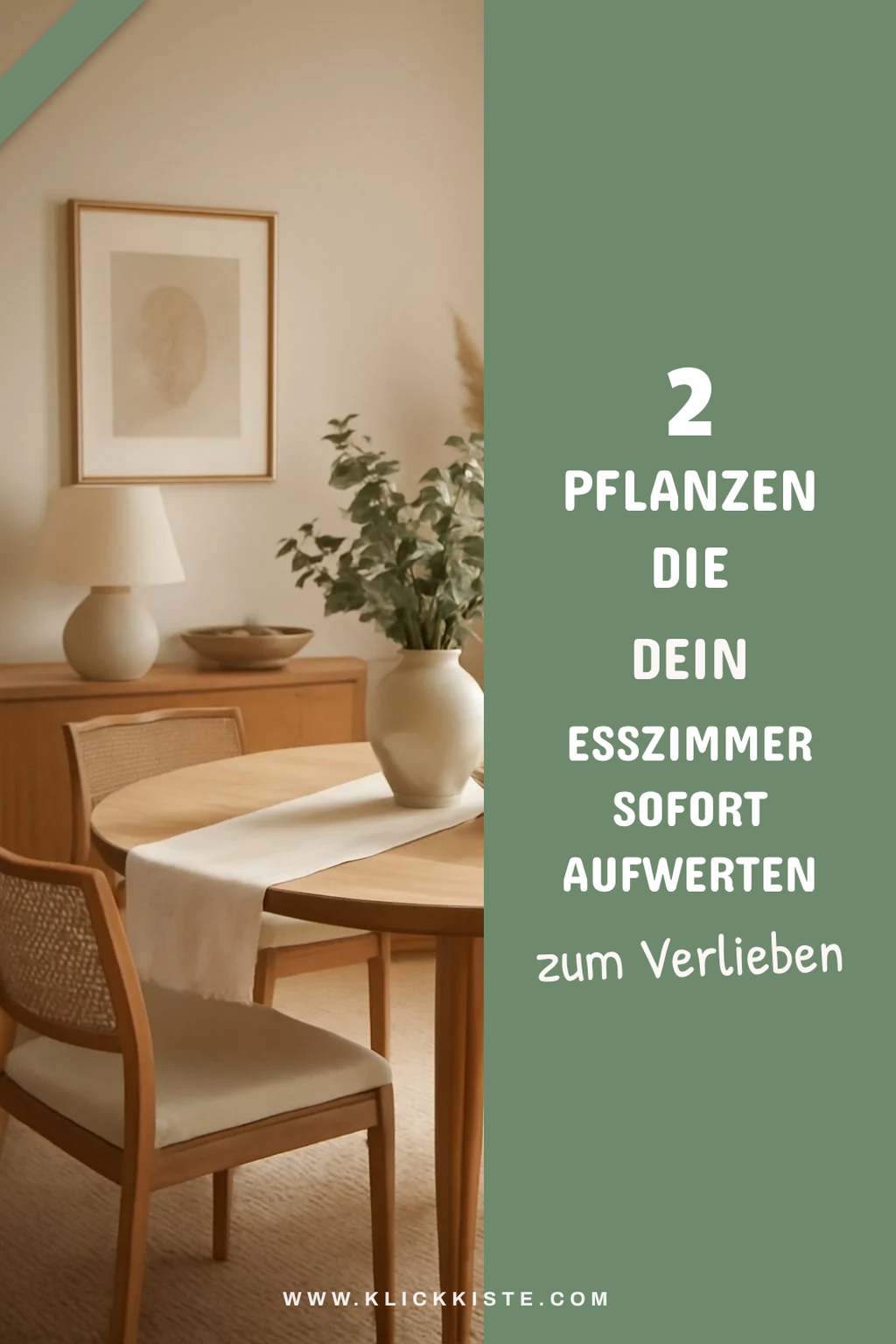 Diese Pflanzen bringen Leben ins Esszimmer