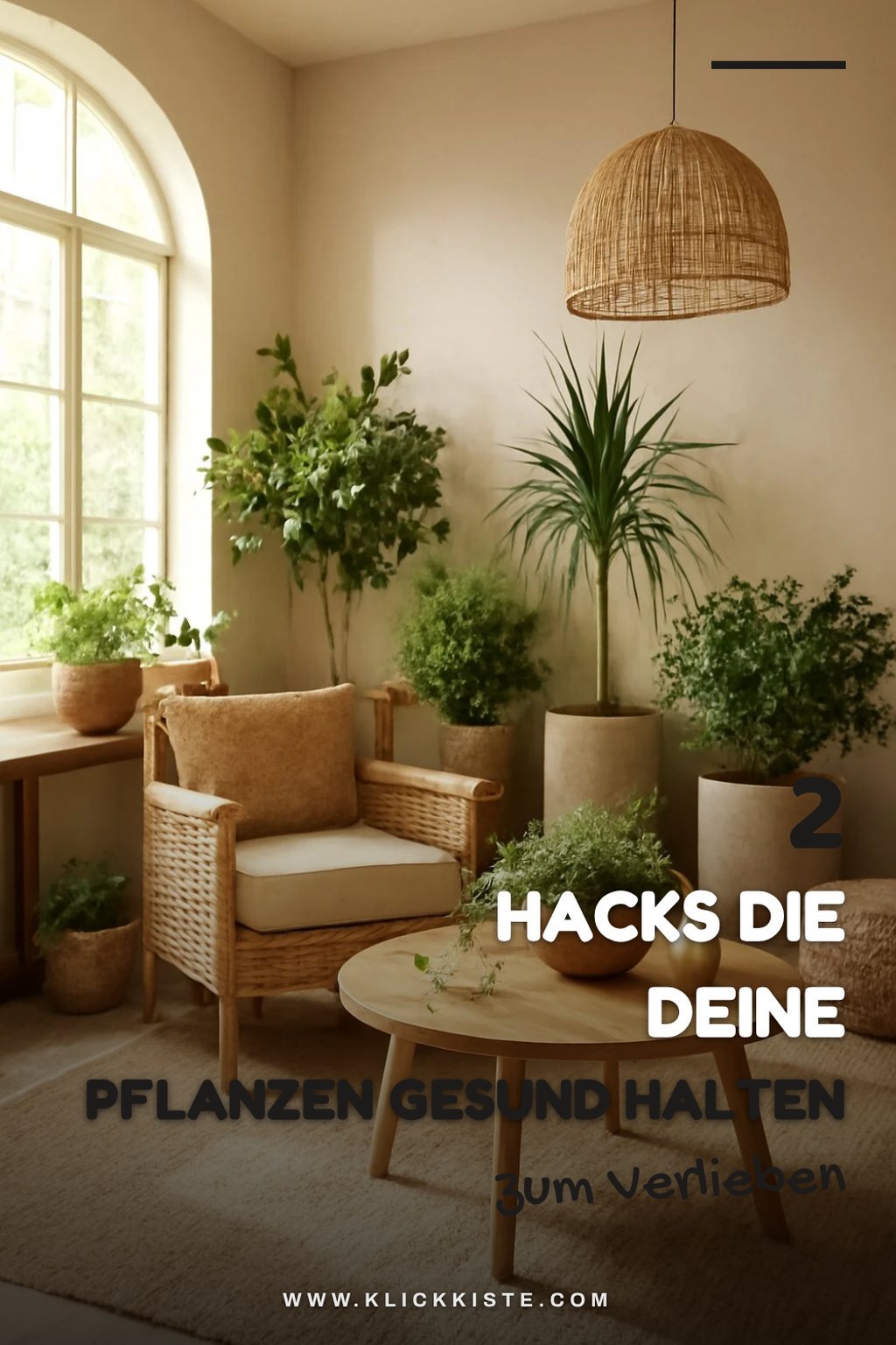 Diese 4 bewährten Hacks für Pflanzenpflege