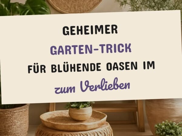Geheimer Garten-Trick für blühende Oasen im Sommer