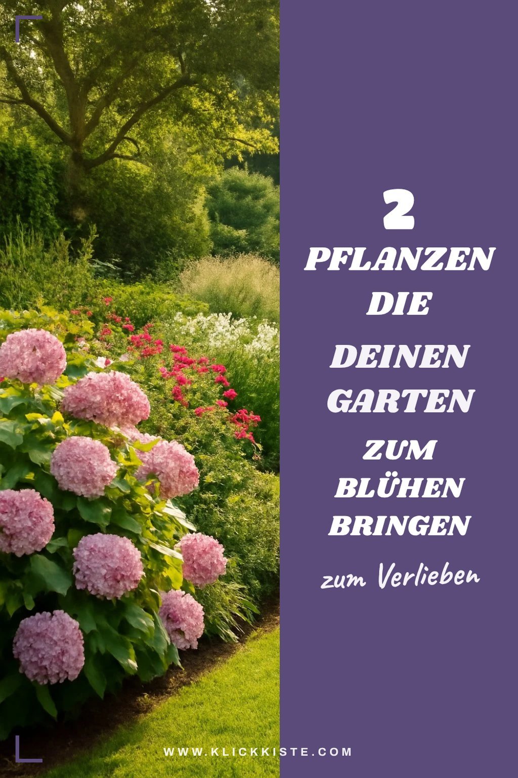 Wie du mit der richtigen Pflanzenwahl deinen Garten zum Blühen bringst