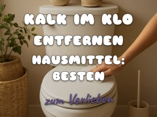 Kalk im Klo Entfernen Hausmittel: Die besten Tipps & Hausmittel