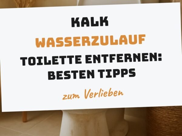 Kalk Wasserzulauf Toilette Entfernen: Die besten Tipps & Hausmittel
