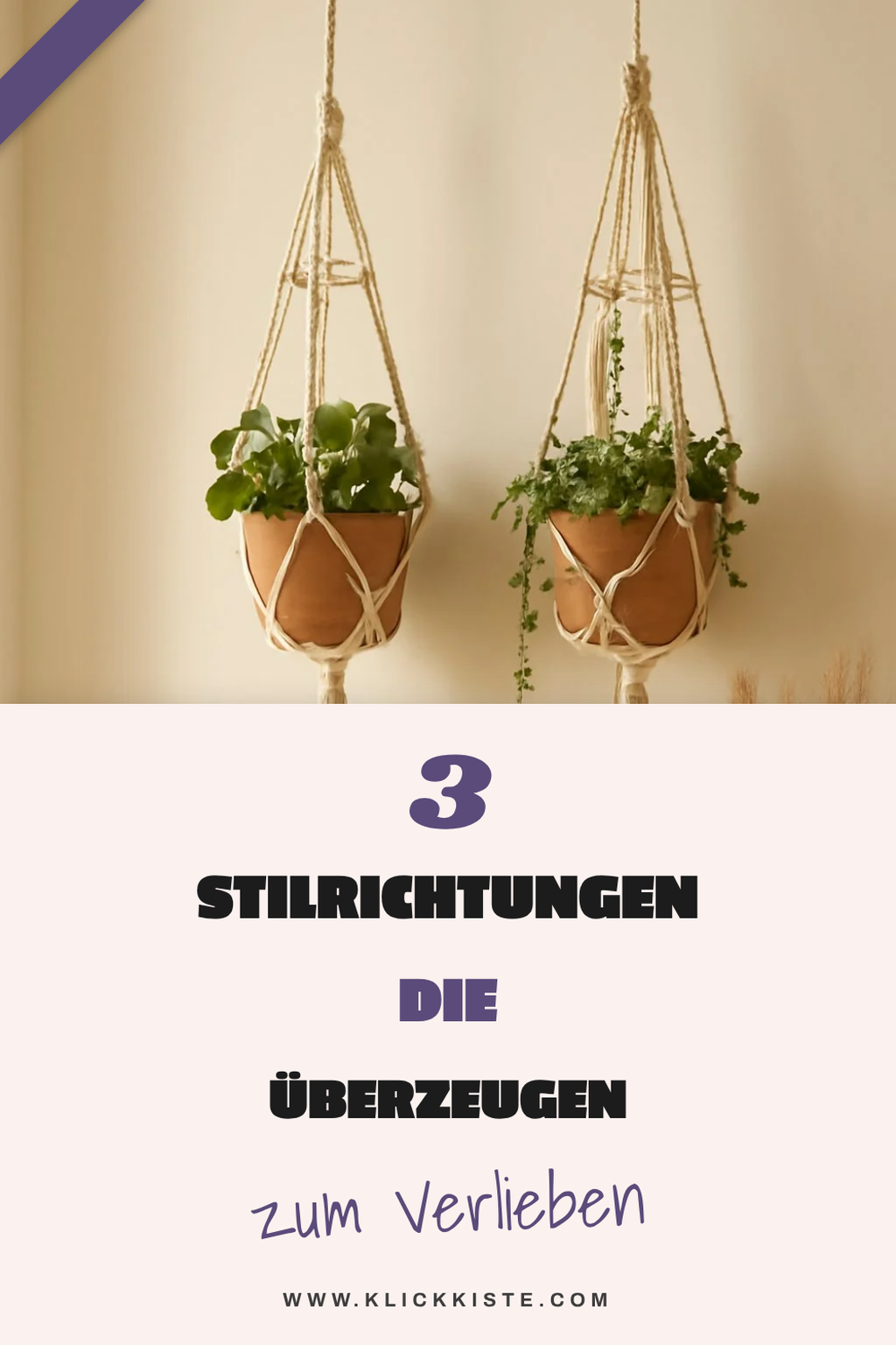 Diese 4 Stilrichtungen für Makramee Blumenampeln begeistern