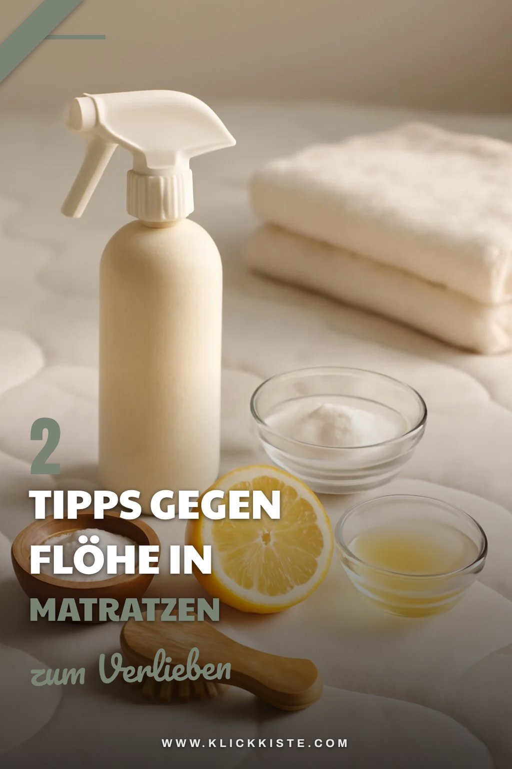 Flea Prevention for Mattresses