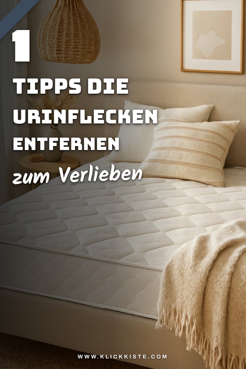 Mehr Empfehlungen aus dieser Kategorie