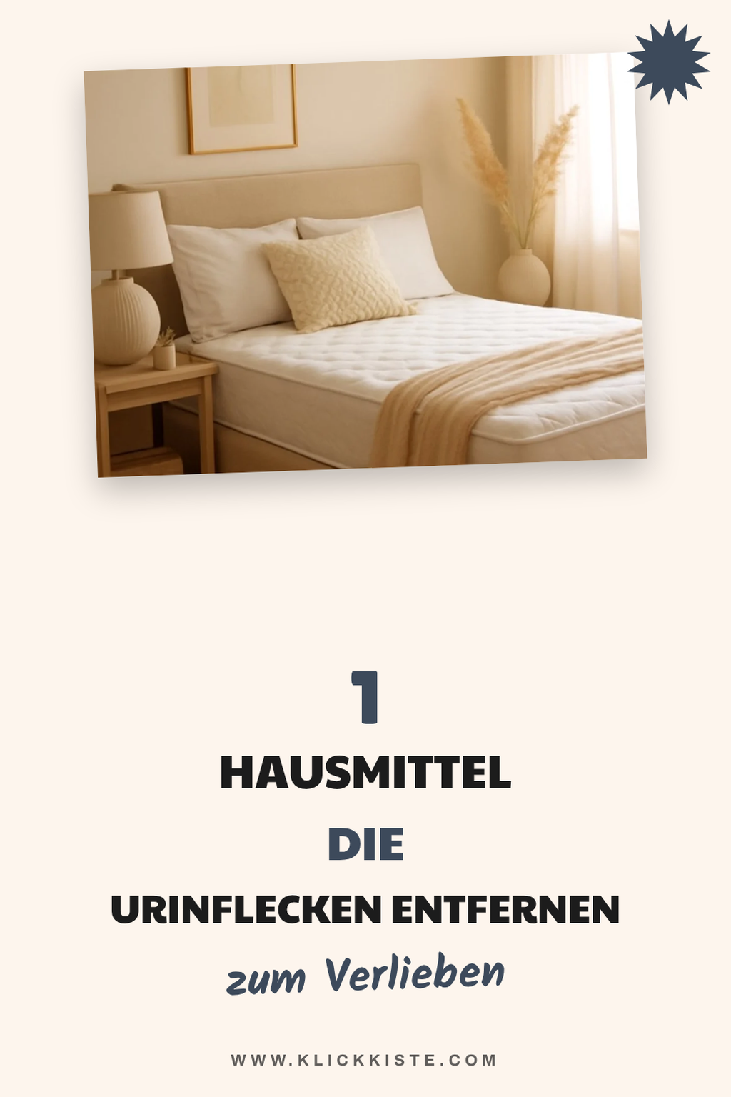 Mehr Empfehlungen aus dieser Kategorie