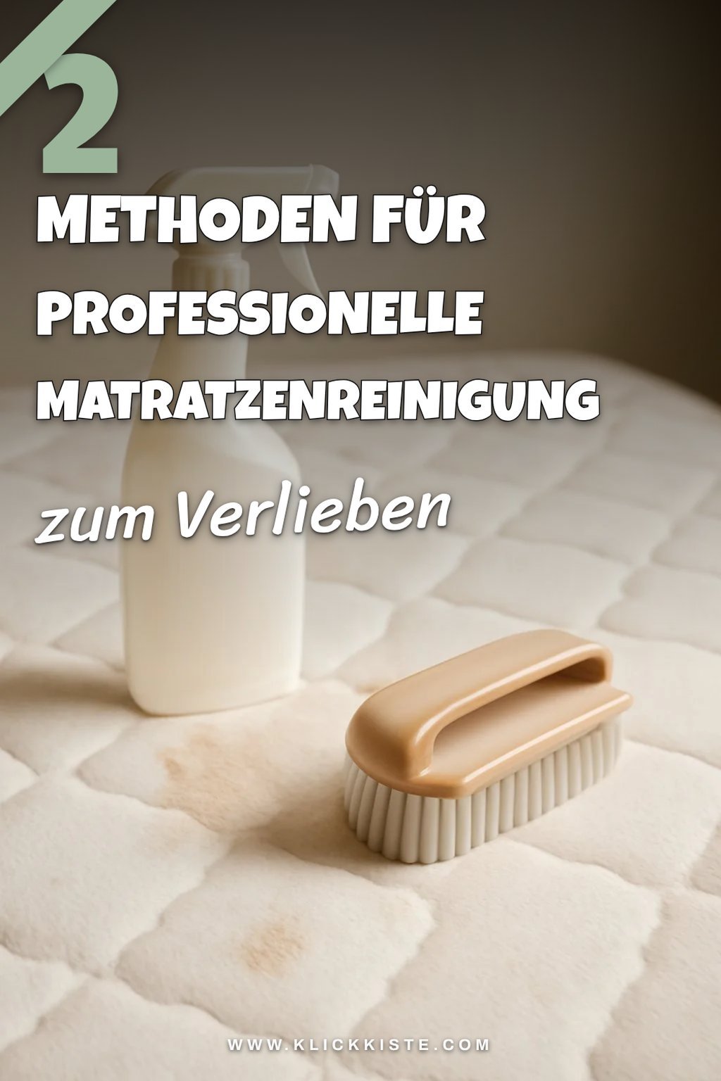 Professionelle Matratzenreinigung