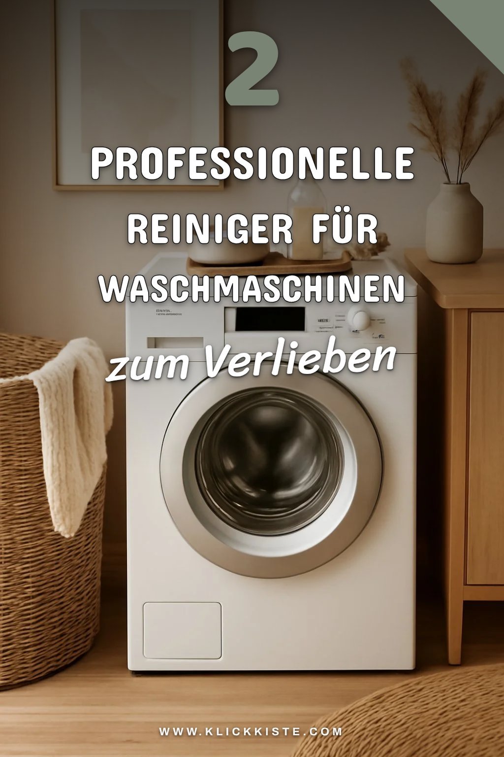 Professionelle Reiniger für die Waschmaschine