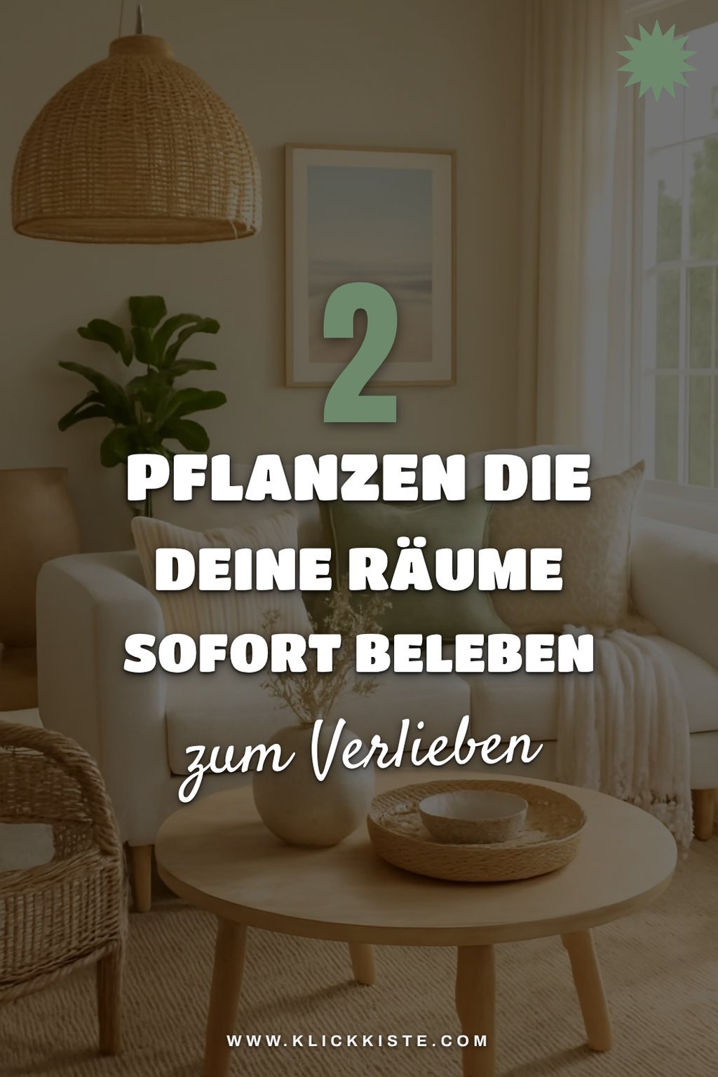 Diese Pflanzen bringen Leben in dein Zuhause