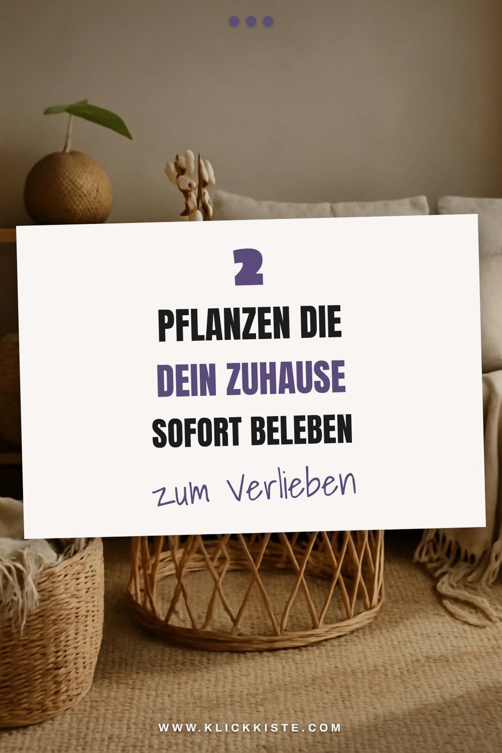 Diese 4 Pflanzen bringen Leben in dein Zuhause