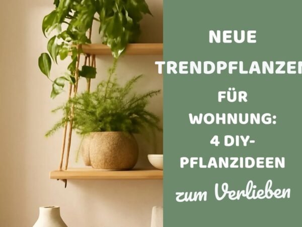 Neue Trendpflanzen für die Wohnung: 4 DIY-Pflanzideen