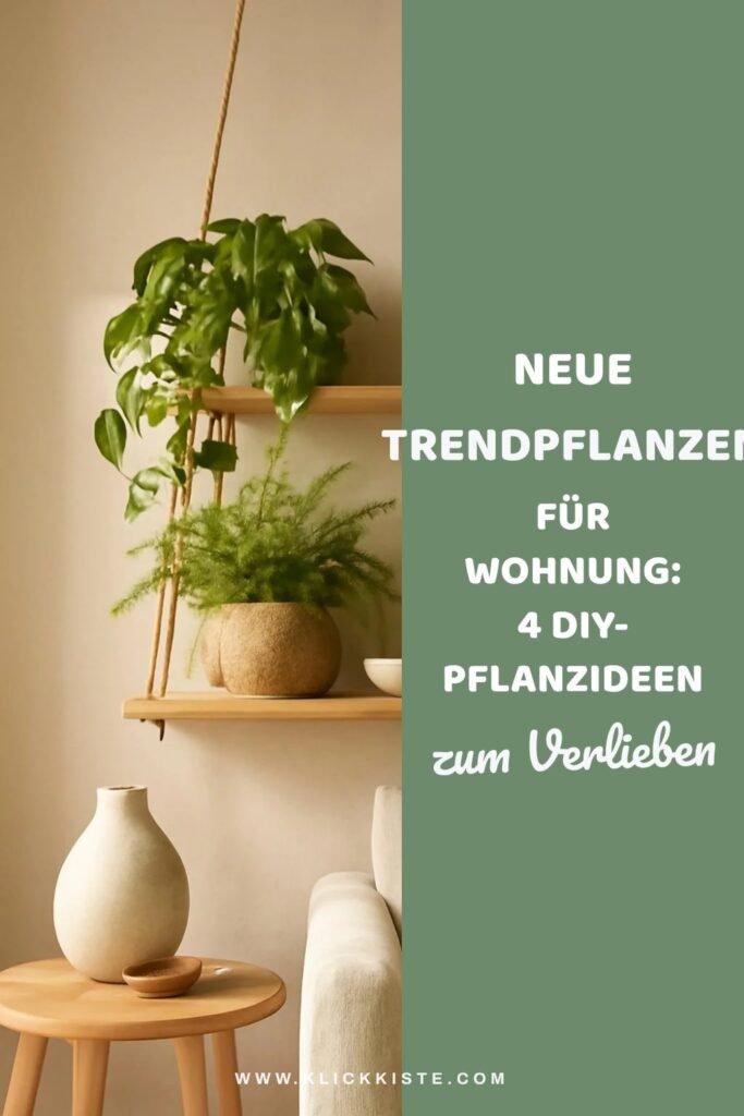 Neue Trendpflanzen für die Wohnung: 4 DIY-Pflanzideen