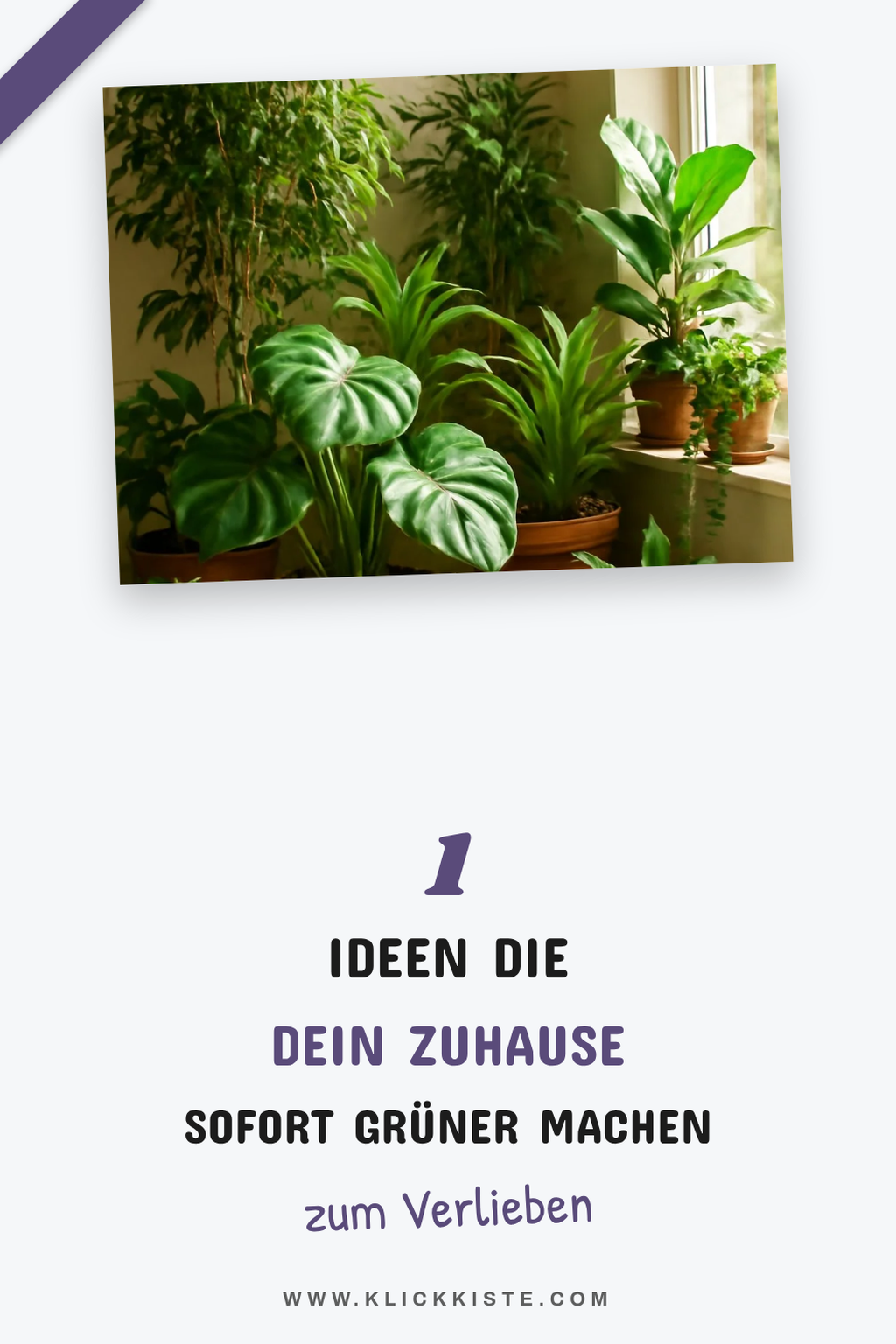 So machst du jeden Raum mit Pflanzen-Deko lebendig
