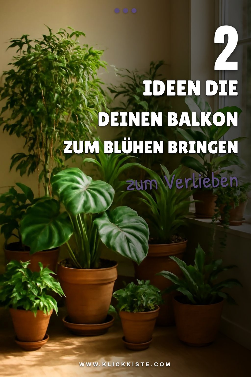 Kreative Pflanzen-Deko für den Balkon