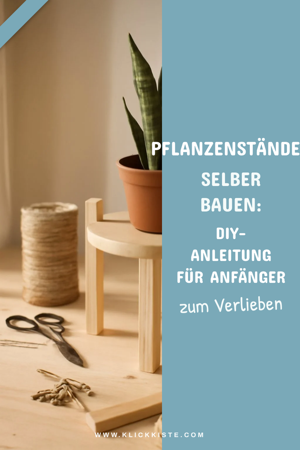 Pflanzenständer selber bauen: DIY-Anleitung für Anfänger